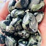 Crocodile (Kambaba) Jasper (Green Stromatolite) Pendants - Tumbled