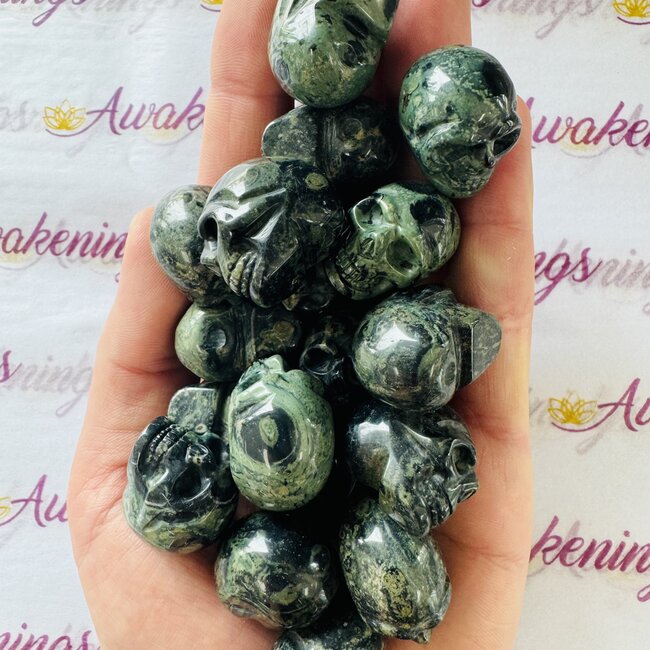 Crocodile (Kambaba) Jasper (Green Stromatolite) Skulls - Mini