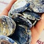 Sodalite Worry (Thumb Fidget Relaxation Pocket) Stones - Hearts