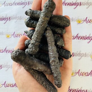 Prophecy Stone Stick - Rough Raw Natural