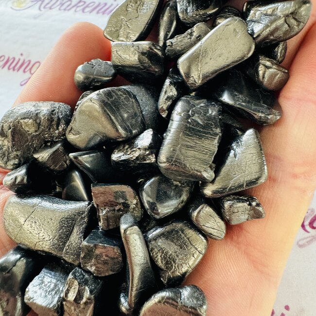 Elite Noble Shungite - Tumbled