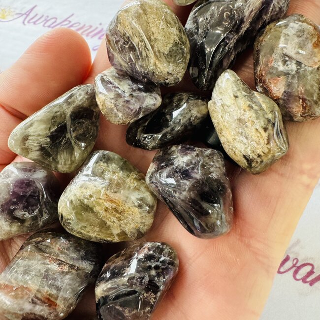 Black Amethyst - Tumbled