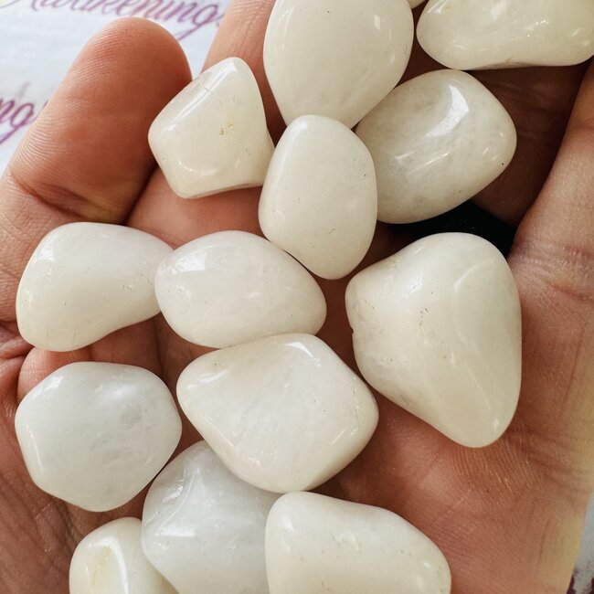 White Dolomite - Tumbled