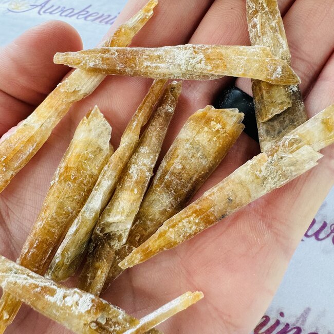 Fishtail (Golden) Selenite - Rough Raw Natural