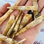 Fishtail (Golden) Selenite (Satin Spar Gypsum) - Rough Raw Natural