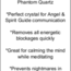 Blue Tara (Amphibole) Quartz - Tumbled