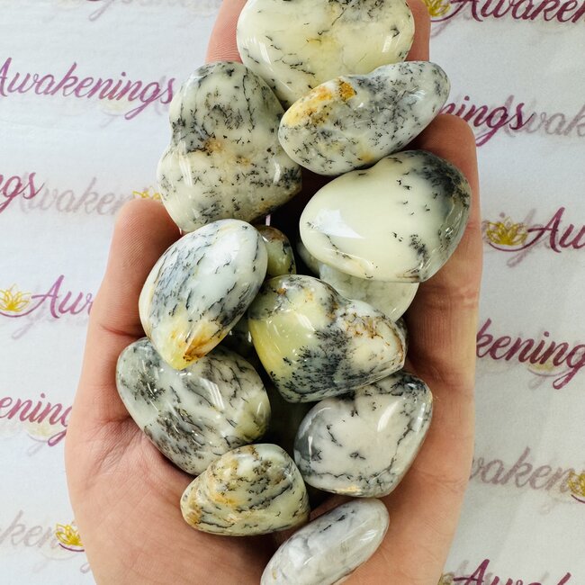 Dendritic Agate Hearts - Medium Dendrite