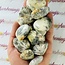 Dendritic Agate Hearts - Medium Dendrite