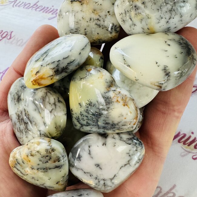 Dendritic Agate Hearts - Medium Dendrite