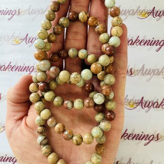Agalmatolite Bracelets - 8mm