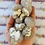 Snakeskin Snake Skin Agate - (Tumbled) Large