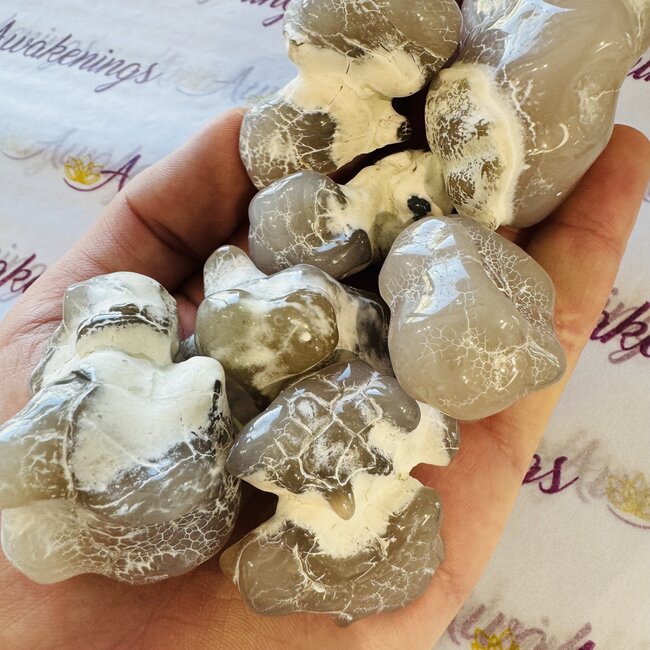 Snakeskin Snake Skin Agate - (Tumbled) Large