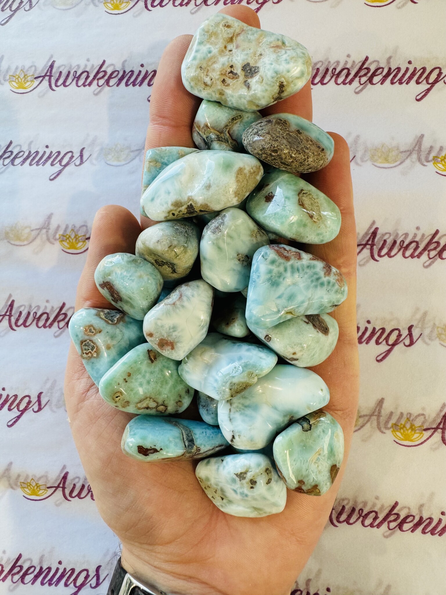 larimar-dolphin-stone-tumbled-