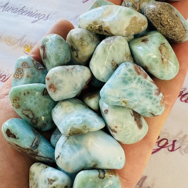 Larimar (Dolphin Stone) - Tumbled Large