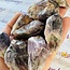 Cacoxenite Point(1"-2")- Rough Raw Natural