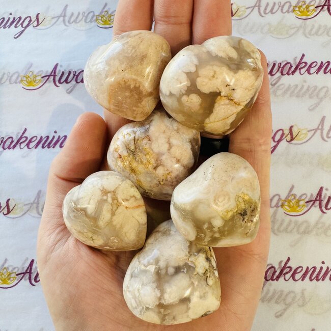 Flower Agate (Cherry Blossom) Puffy Hearts - Medium