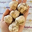 Flower Agate (Cherry Blossom) Puffy Hearts - Medium