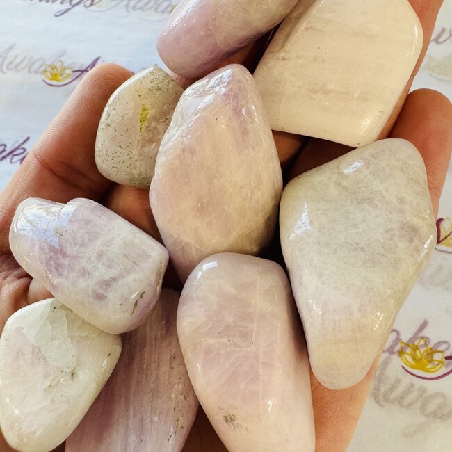 Kunzite - Tumbled XL