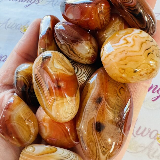 Orange Sardonyx Tumbled - XL Extra Large