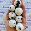 Rainbow Moonstone Spheres Orbs - 30-35mm
