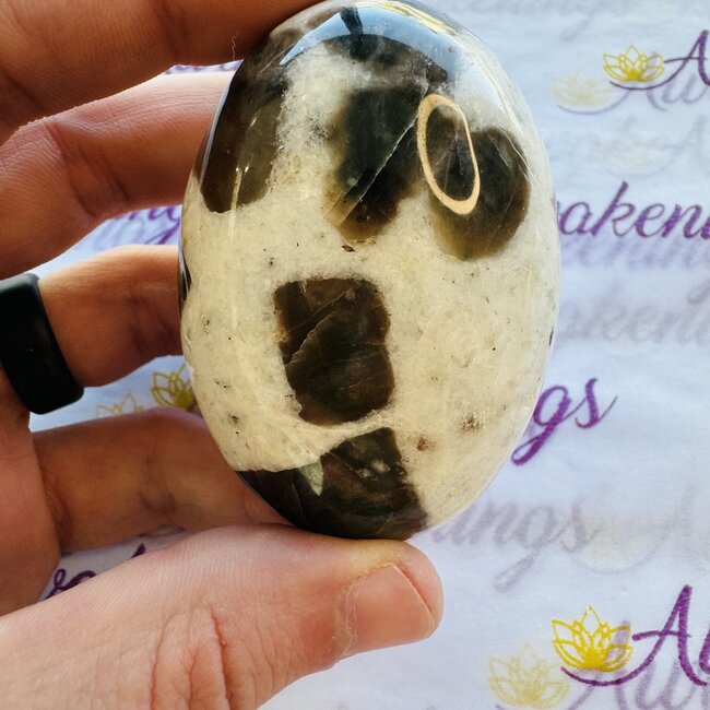 Polarity Moonstone Palm Pillow Pocket Stone - Large