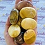 Mookaite Jasper Palm Pillow Pocket Stone