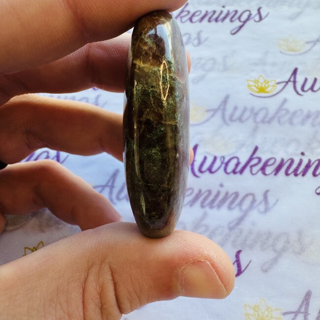 Green Jasper Palm Pillow Pocket Stone