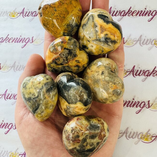 Crazy Lace Agate Puffy Hearts