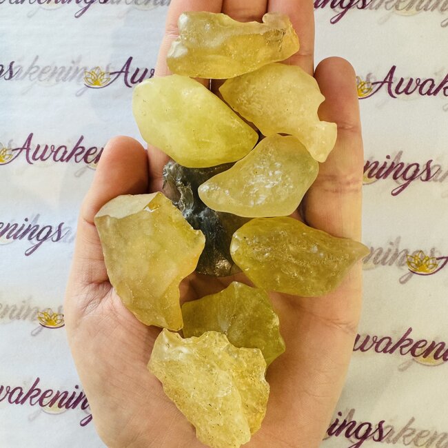 Libyan Tektite Desert Glass (Great Sand Sea Glass Lechatelierite) - Medium (15-25g) Rough Raw Natural