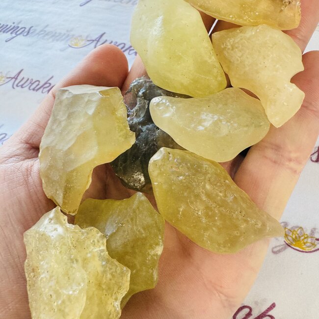 Libyan Tektite Desert Glass (Great Sand Sea Glass Lechatelierite) - Medium (15-25g) Rough Raw Natural