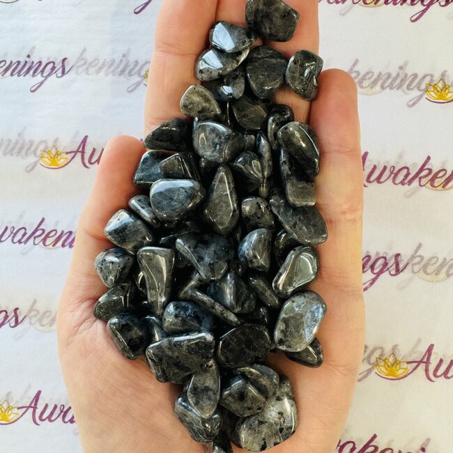 Black Labradorite (Larvakite) - Tumbled Chips