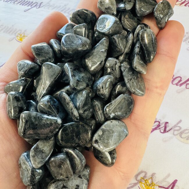 Black Labradorite (Larvakite) - Tumbled Chips