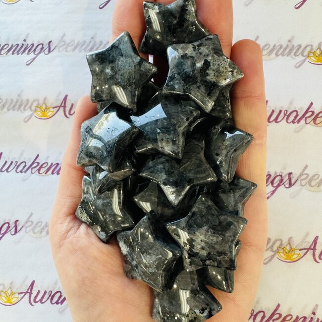 Black Labradorite (Larvakite) Stars - Medium