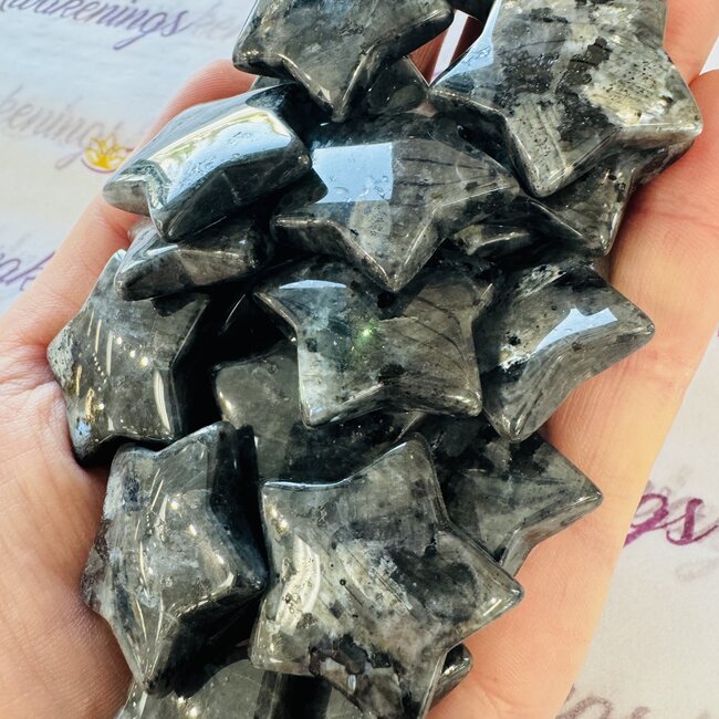 Black Labradorite (Larvakite) Stars - Medium