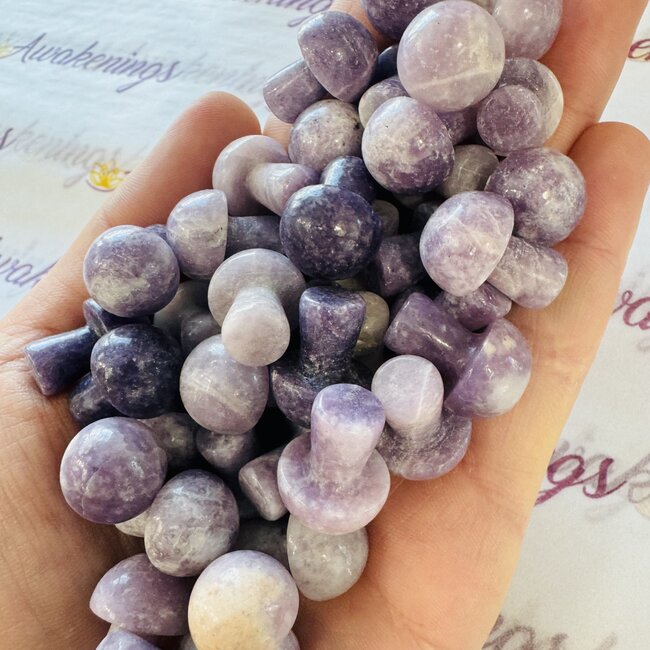 Lepidolite (Purple Mica) Mushrooms - Mini