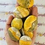Bumblebee Jasper Palm Pillow Pocket Stone