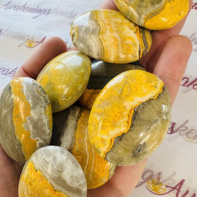 Bumblebee Bumble Bee Jasper Palm Pillow Pocket Stone