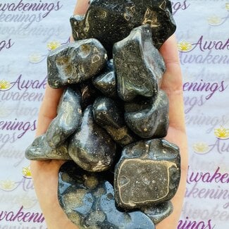 Honduras Black Opal - Tumbled (Jumbo)