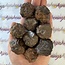 Prophecy Stone XL - Rough Raw Natural