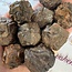 Prophecy Stone XL - Rough Raw Natural
