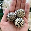 Dalmatian Jasper Sphere Orb-30mm