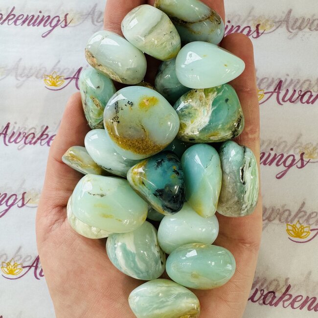 Andean Blue Opal (AAA Grade) - Tumbled