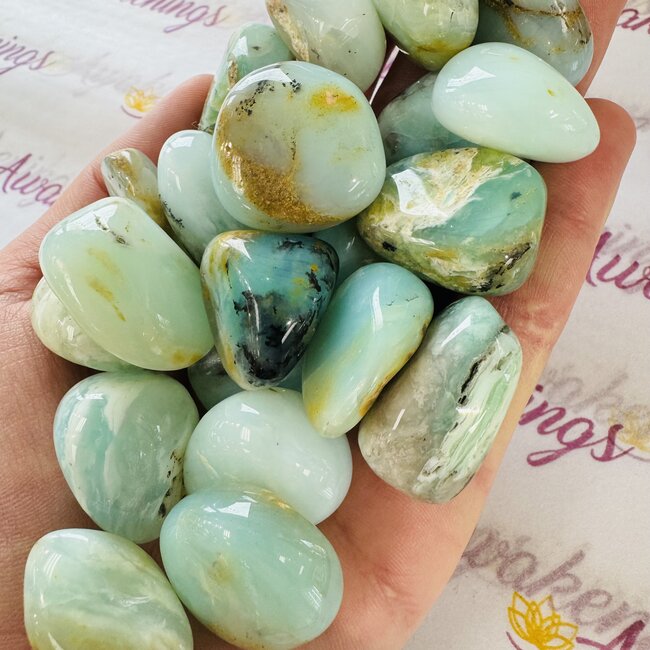 Andean Blue Opal (AAA Grade) - Tumbled