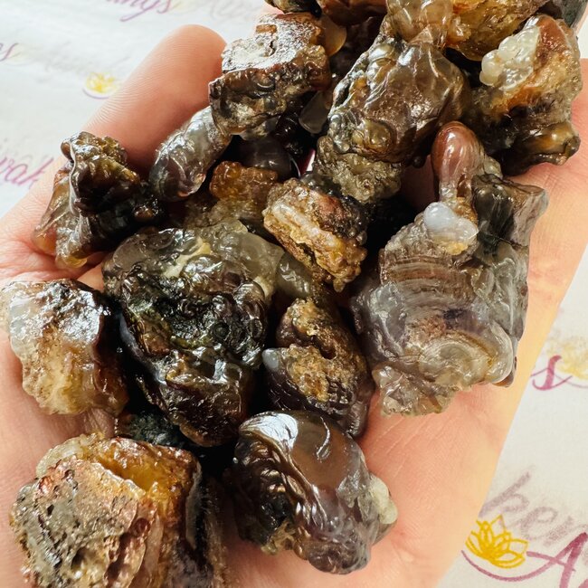 Mexican Fire Agate - Rough Raw Natural