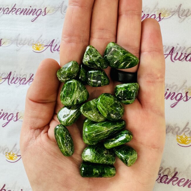 Chrome Diopside (AAA Grade) - Tumbled Smooth
