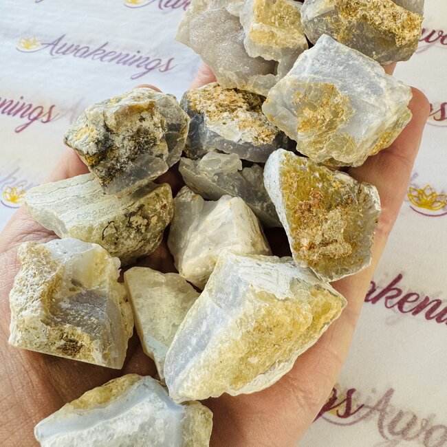 Blue Lace Agate - Small 1-2" Rough Raw Natural