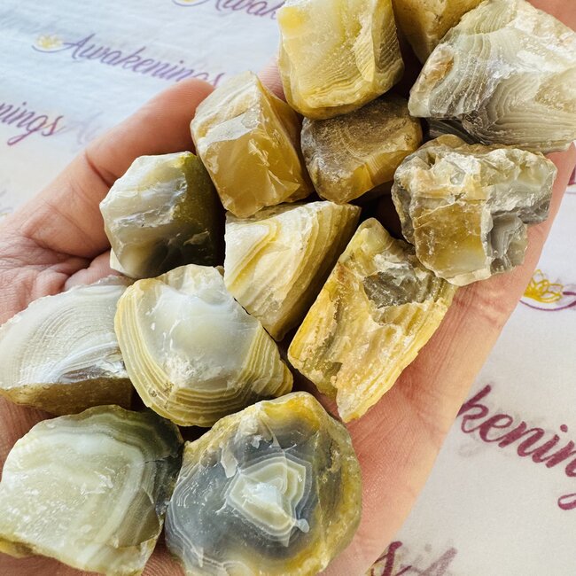 Botswana Agate - Rough Raw Natural