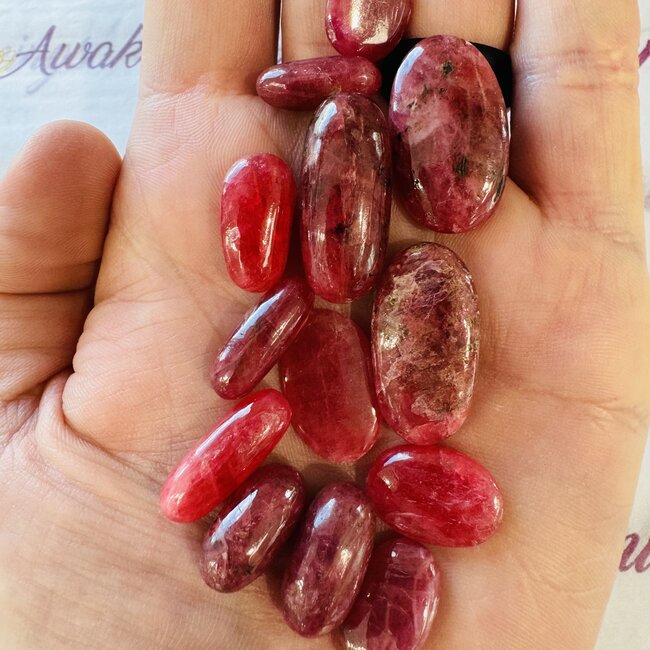 Carmine Red Rhodonite (AAA Grade) Shiva Tumbled