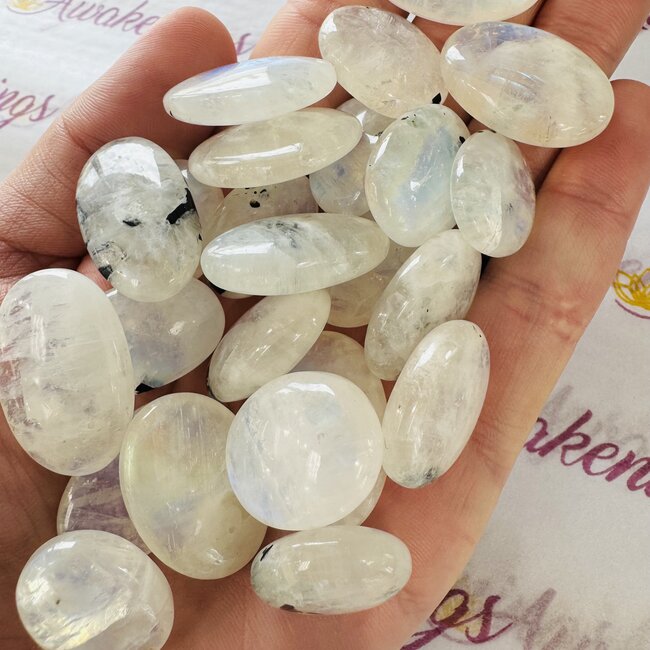 Rainbow Moonstone (AAA Grade) Mini Palm