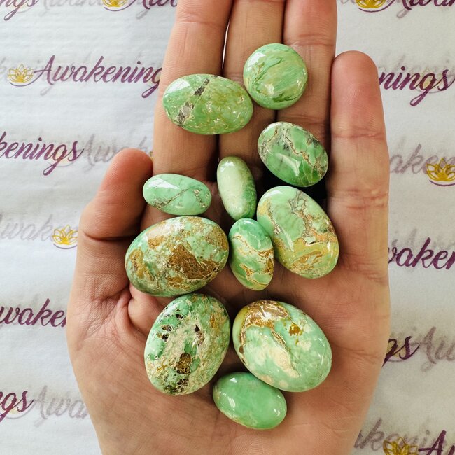 Variscite Mini Palms Pillow Pocket Stone